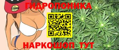 соль ск Кимры