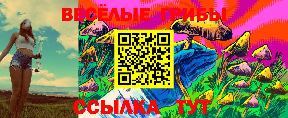 Галлюциногенные грибы Magic Shrooms Ярославль