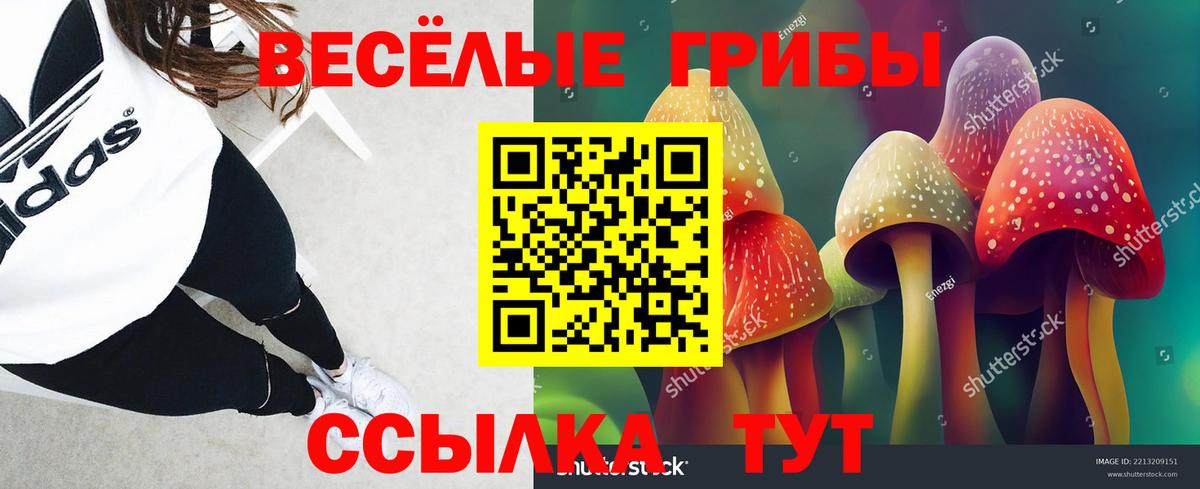 купить наркоту  Вход с VPN  Ярославль  Галлюциногенные грибы прущие грибы 